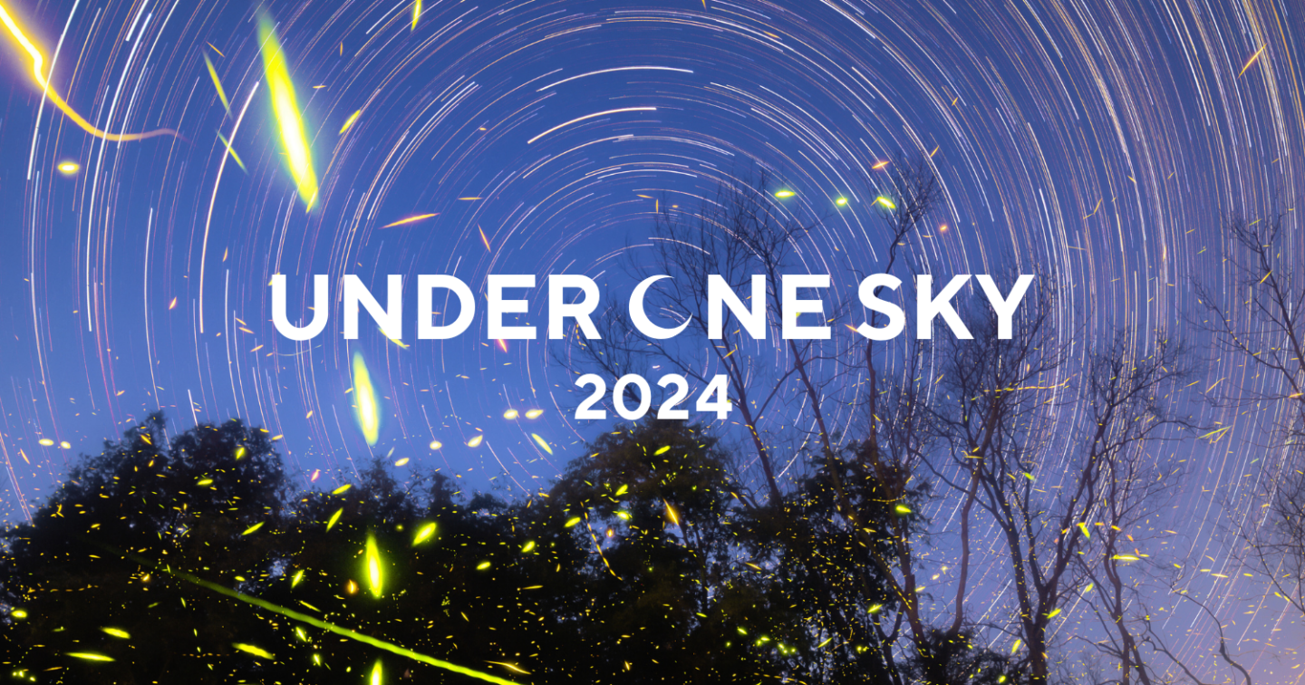 Fireflies across a backdrop of star trails.